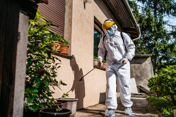 Best Affordable Pest Control Services  in Oregon, OH