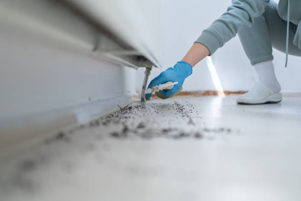 Pest Control Cost in Oregon, OH